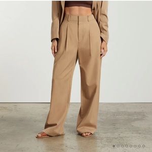 Everlane Way-High Drape Pant